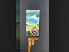 6 inci 1080*2160 Resolusi LCD TFT modul MIPI Interface Driving IC HX8399C