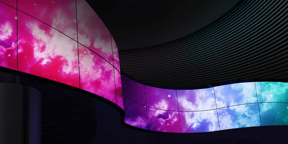 42", 48", 55", 65", 77" OLED Flexible Screen Oled Transparent Oled Panel