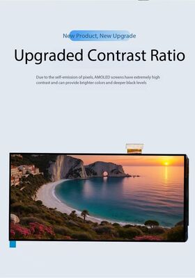 6.01 Inch AMOLED Display Module with 500nit Brightness and 1080 x 2160 Resolution