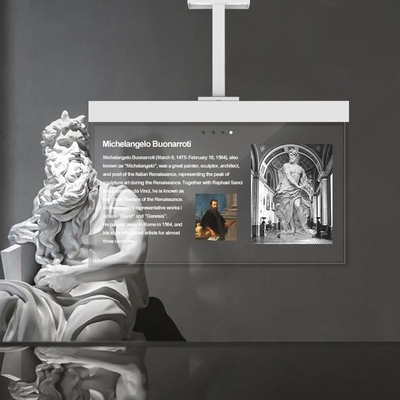 55-inch OLED Transparent Screen-hanging Model 1920*1080 Resolution 400 Nits   Oled Transparent Oled Panel