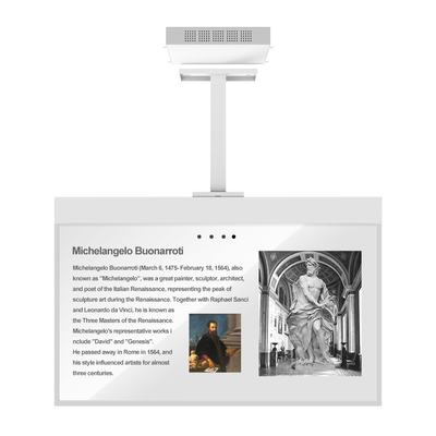 55-inch OLED Transparent Screen-hanging Model 1920*1080 Resolution 400 Nits   Oled Transparent Oled Panel